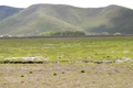 may15_006.jpg