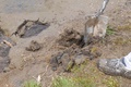 may15_041.jpg
