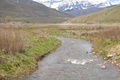 may15_053.jpg