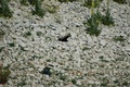 dsc_9818.jpg