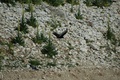 dsc_9819.jpg