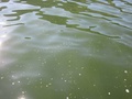 img_0946_001.jpg