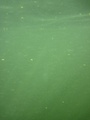 img_0948_001.jpg