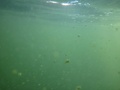 img_0949_001.jpg