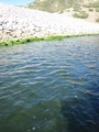 img_0954_001.jpg