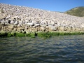 img_0956_001.jpg