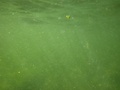 img_0958_001.jpg