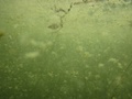 img_0965_001.jpg