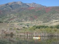 img_0968_001.jpg