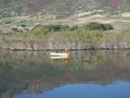 img_0969_001.jpg