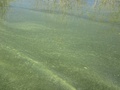 img_0977_001.jpg
