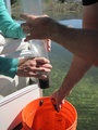 img_0989_001.jpg