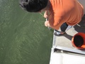 img_1003_001.jpg
