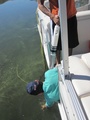 img_1006_001.jpg
