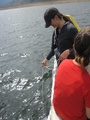 img_1033.jpg