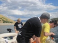 img_1049.jpg